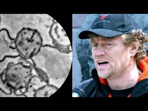 Норвежский подход к болезни Лайма