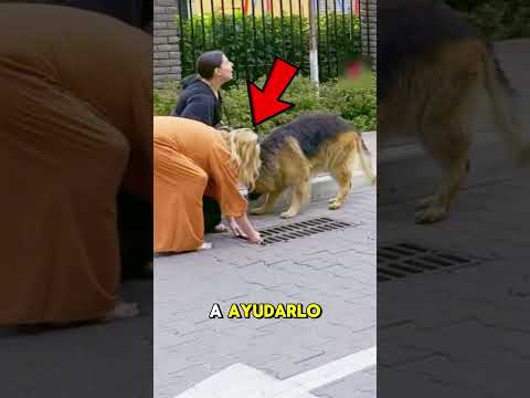 NADIE quería AYUDAR a este PERRITO 😢