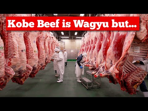 How Kobe Beef became the Wagyu to rule them all