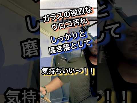 ガラスのウロコも落とせるコードレス３インチポリッシャー！！ #洗車 #研磨 #コーティング #car #carwash #diy #detailing #shorts #youtubeshorts