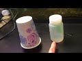 Measuring Photosynthesis and Respiration