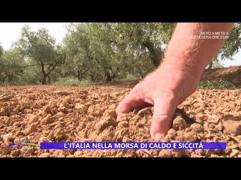 Sicilia, siccità dramma quotidiano - Estate in diretta 29/07/2024