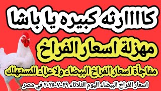 اسعار الفراخ البيضاء اليوم/ سعر الفراخ البيضاء اليوم الثلاثاء ٢٩-٧-٢٠٢٥ في مصر جمله وقطاعي