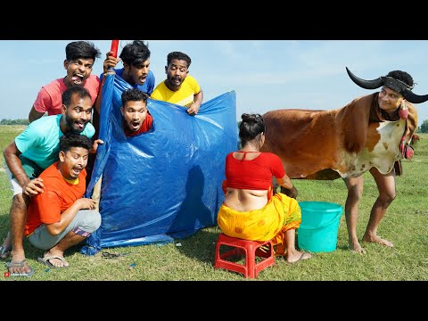 Monkey Special Trending Funny Comedy Video 2024😂Special Trending Funny Comedy Video Episode 274