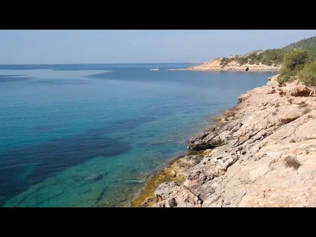 ibiza half marathon