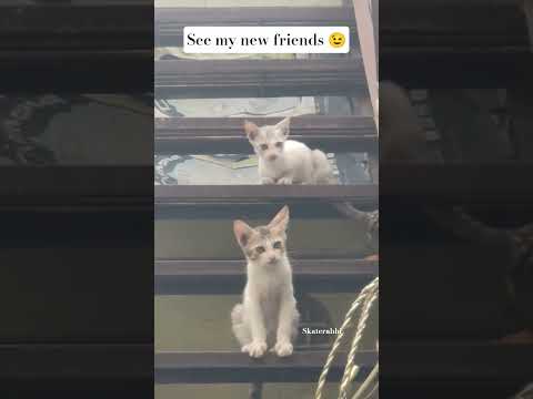 see my new friends #please_subscribe_my_channel #viewskaisebadhaye #viewskaisebadhaye #love