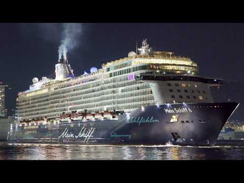 MEIN SCHIFF 6(マインシフ6)神戸出港　汽笛あり