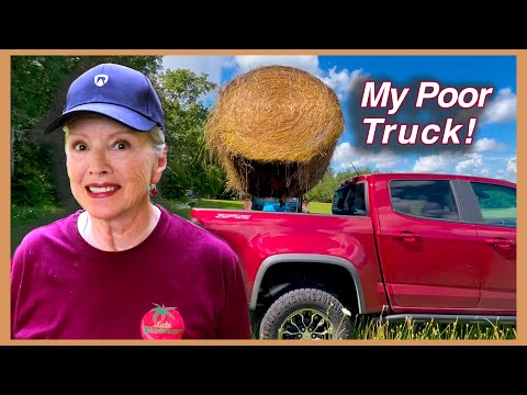 WILL IT FIT?? Harvesting Potatoes, Thinning Corn + MUCH MORE!