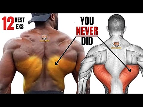 12 BEST LATISSIMUS DORSI  WORKOUT THAT YOU NEVER DID AT GYM