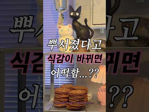 개복치 씬쿠키와 저. 죄송합니다..