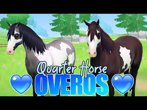 wir ERSTELLEN unser 🅴🆁🆂🆃🅴🆂 OVERO QUARTER HORSE 🐴🎨 Equestrian the Game