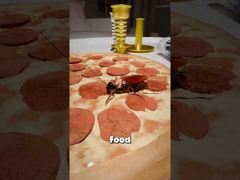 How cockroaches actually eat your food