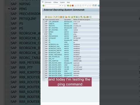 SAP Hack: OS commands without OS access 🛠️