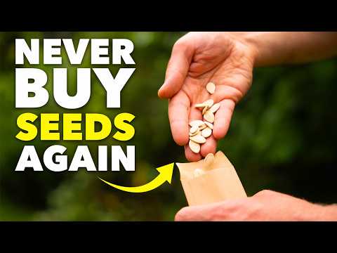 Seed-Saving Masterclass: How To Save Money & Time