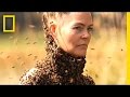 Understanding Bees and Their Behavior