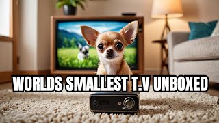 Experience the world's smallest TV in action!