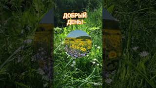 ВСЕХ-ВСЕХ С ДОБРЫМ ДНЁМ!