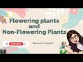 Plant Structure and Function Assessment