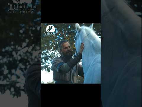 घोड़े के माथे के बालों (पेशांनी) में बरकत होती है✨Ertugrul Ghazi Goldenwords✨