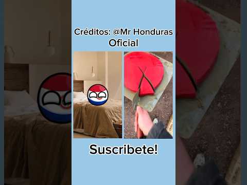 Como Cuidar A Tu Countrypet 🇵🇾 (Paraguay) #countryballs #countrypets #paraguay