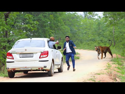 जंगल के रास्ते पर बाघ हमला TIGER ATTACK MAN IN THE FOREST | TIGER ATTACK SHORT MOVIE