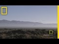 Sandhill Cranes and Their Migration Patterns