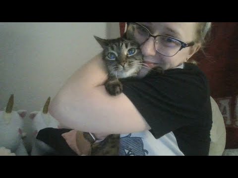 Headed to Bed With Bean