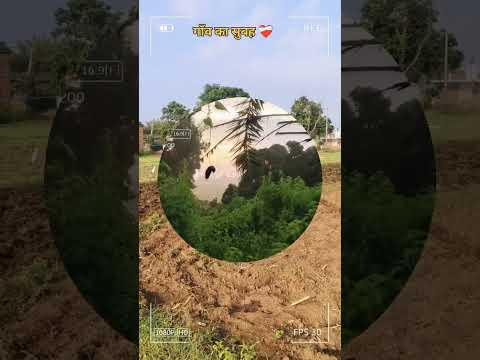 गोरी तेरा गाँव बढ़ी प्यारा❤️‍🩹❤️😇😱💯🌏 #bihar #youtubeshorts#explore #india #ytshorts#villagelifestyle