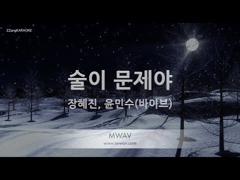 [짱가라오케/노래방] 장혜진, 윤민수(바이브)-술이 문제야 (Drunk On Love) [ZZang KARAOKE]