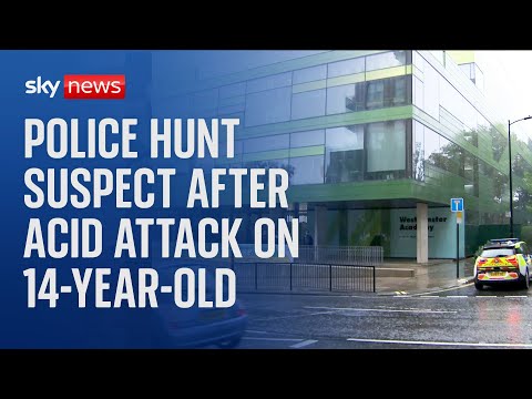 'Acid attack' at west London school leaves 14-year-old girl with potentially life-changing injuries