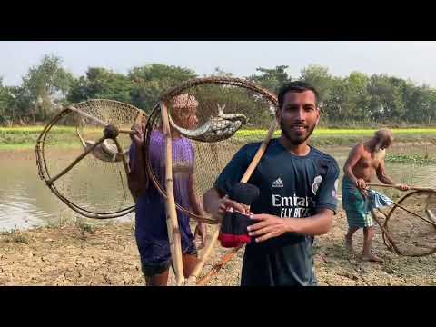 চাবি জালে গ্রামের শিকারীগন প্রচুর বোয়াল মাছ ধরেছে