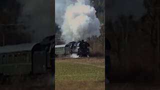 03 1010 röhrt durch Oberwellenborn