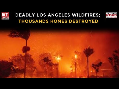 Los Angeles Wildfires: At Least 11 Lives Lost, Thousands of Homes Destroyed in Deadly Disaster