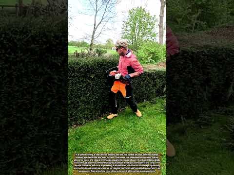 Man Using Electric Saw Tool to Trim Bush Tops for Efficient Garden Maintenance