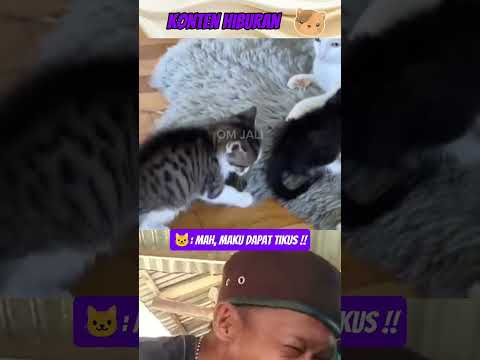 mujair dapat tikus #lucu #funny #shortvideo