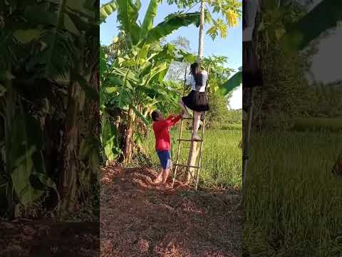 funny husband brought #funny #haaha #funnyvideos #comedy #comedyvideos #funnyvideo #kkkk