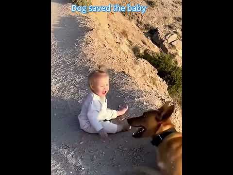 Phillies land All-Star closer Jhoan Duran ahead of MLB trade deadline 👀🔥 #JhoanDuran