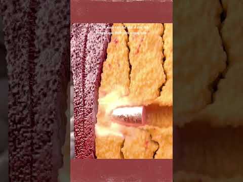 chupi chặn viên đạn bằng mỡ bụng || +1 kiến thức