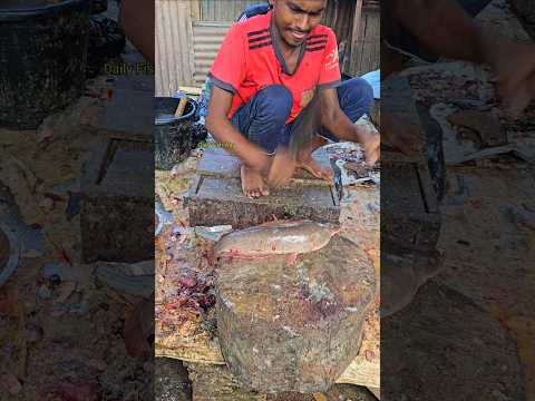 Giant African Magur Fish Cutting Live In Bangladeshย ๐ฑ๐ณ #shorts