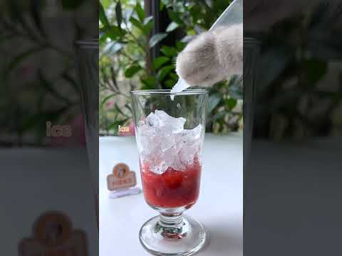 Cat Cooking Show: Strawberry Yakult Soda with ChangAn | Easy Drinks Recipes | Cute Cat TikTok#Shorts