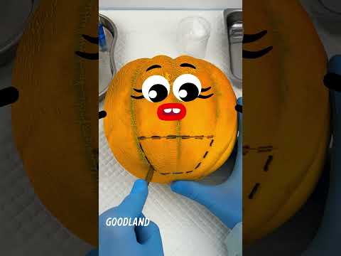 Life Doodles | Operation on melon rambutans 😂 #lifedoodles #shorts #animation