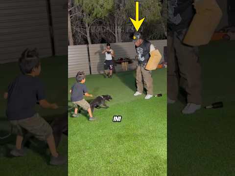 Pelatihan Anjing Ini Tidak Berjalan Sesuai Rencana❗️😳
