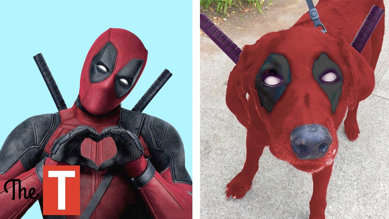15 Superheroes In Real Life As Dogs