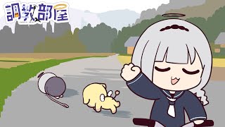 ⋆⸜ 調教部屋  ⸝⋆ (´º∀º｀)【白百合リリィ / ビビドニア 】