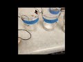 Conductivity of Solutions Experiment