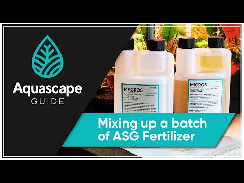 AquascapeGuide - Making A Batch of ASG fertilizer #AquascapeGuide #Fertilizer #PlantedAquarium

In this video we talk about_ 
0_00 - Introduction
0_15