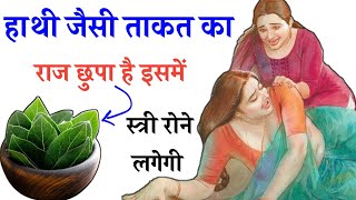 Health tips || अर्जुना के पत्ते में होती हुआ अनमोल ताकत 