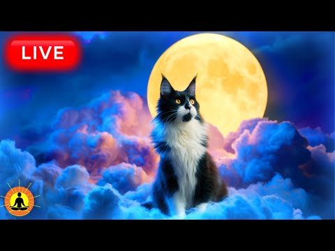 🔴 24 Hours of The Deepest Sleeping Music 2025: INSTANT RELIEF FROM INSOMNIA | Deep Sleep Meditation