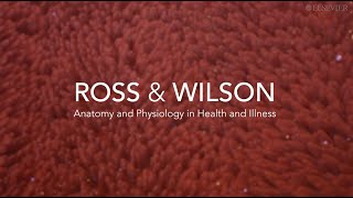 Revolutionize Your Teaching with Ross and Wilson's Anatomy & Physiology and Complete Anatomy