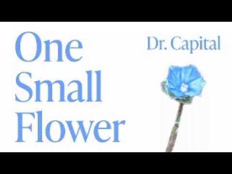 Dr. Capital - One Small Flower (Official Music Video)